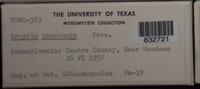 Image Associated With the Occurence